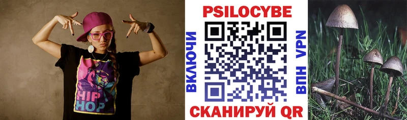 kraken tor  продажа наркотиков  Сертолово  Галлюциногенные грибы Psilocybe 